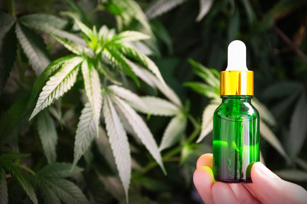 The Rise of CBD Vaping: Is It the Healthier Alternative to Smoking?